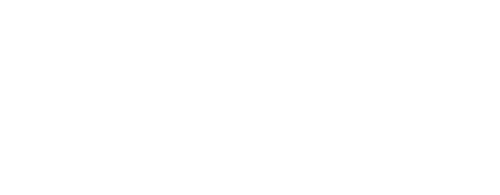 We Fix 229
